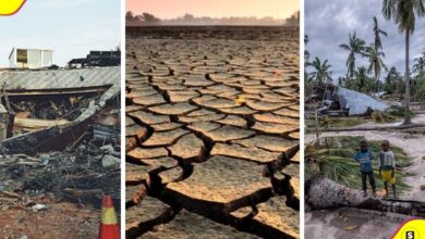 Estos son los DESASTRES NATURALES 2022. Créditos: Especial