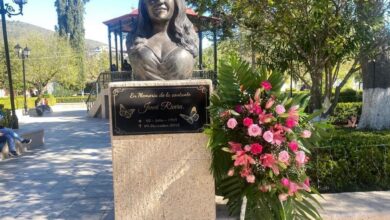 Hoy cumple 10 años de fallecida la Diva de la Banda. Fotografía: especial