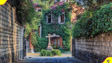 ¿Qué son los Barrios Mágicos? Foto: Lalo Varela