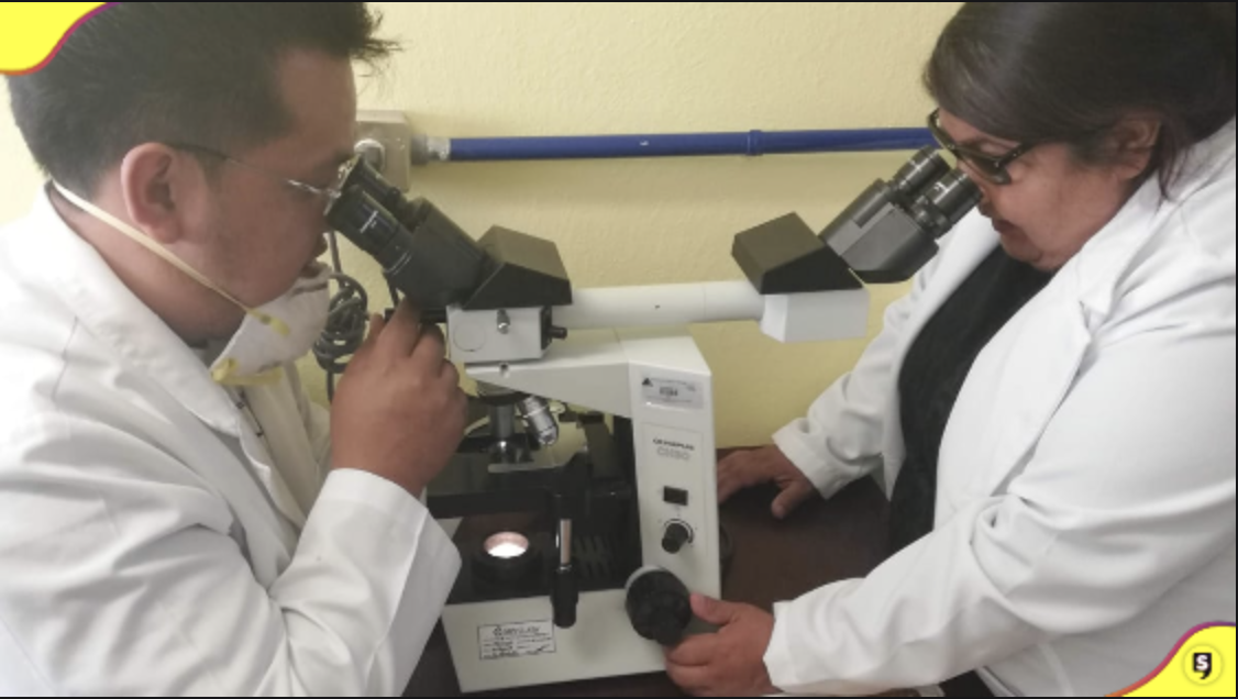 Cáncer segunda causa de muerte en México: SSH. Foto: SSH