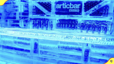 Conocer el único bar de hielo en México. Foto: Facebook Artic Bar