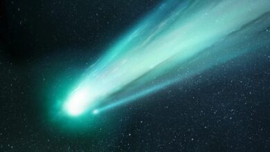 ¿Quieres ver el Cometa Verde desde México y no sabes cómo?. Foto: Especial