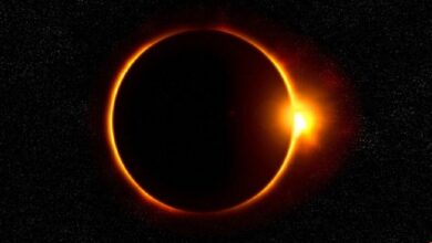 Eclipse solar: ¿se verá en Hidalgo?. Foto: especial