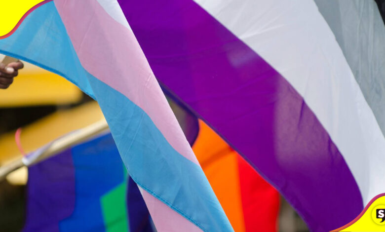 ¿Qué es la grisexualidad?