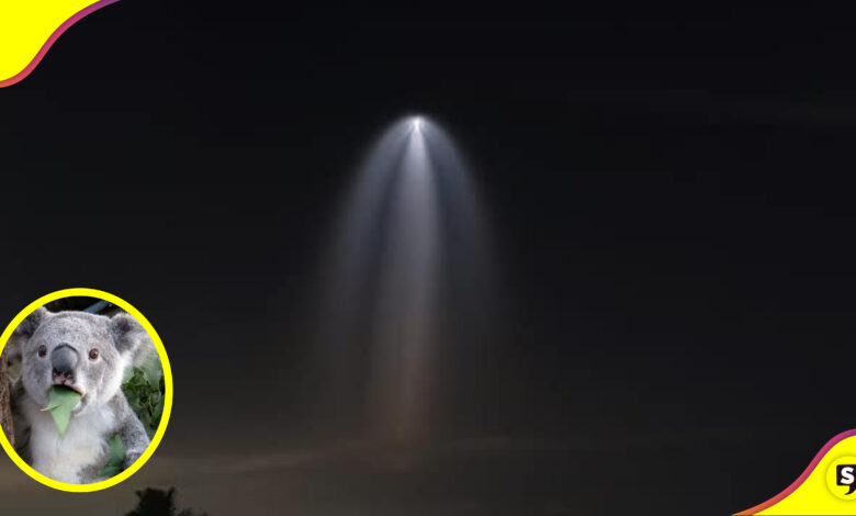 supuesto ángel