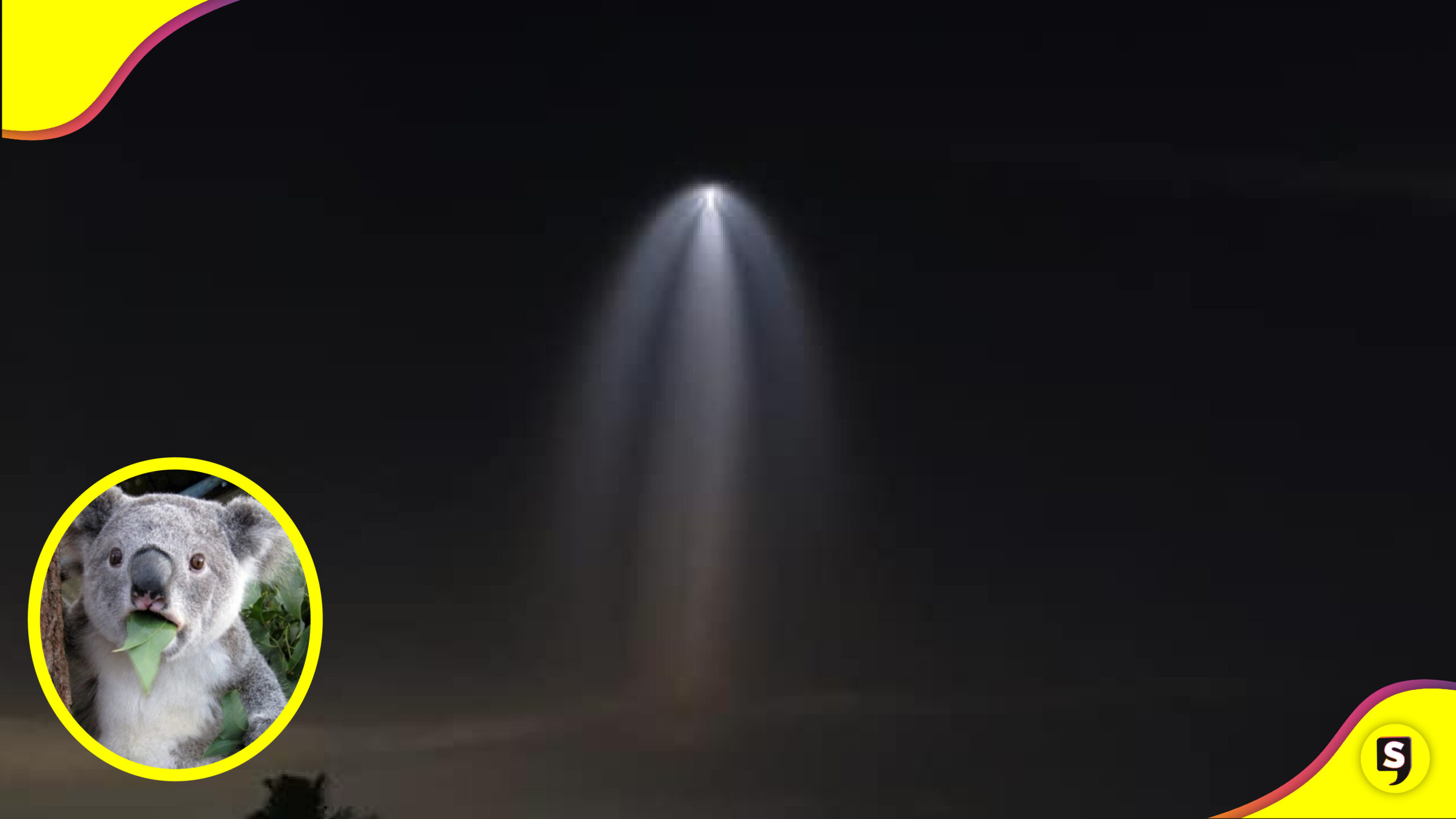 supuesto ángel