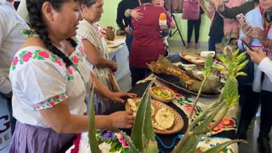 Muestra Gastronómica de Santiago de Anaya 2023