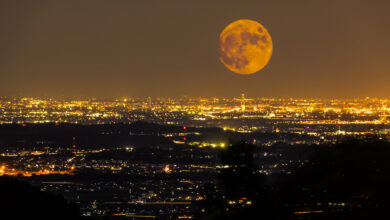 Luna de gusano