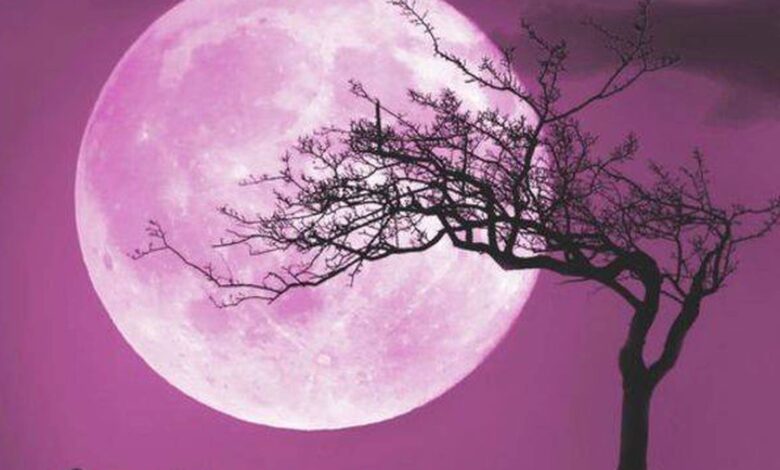 LUNA ROSA