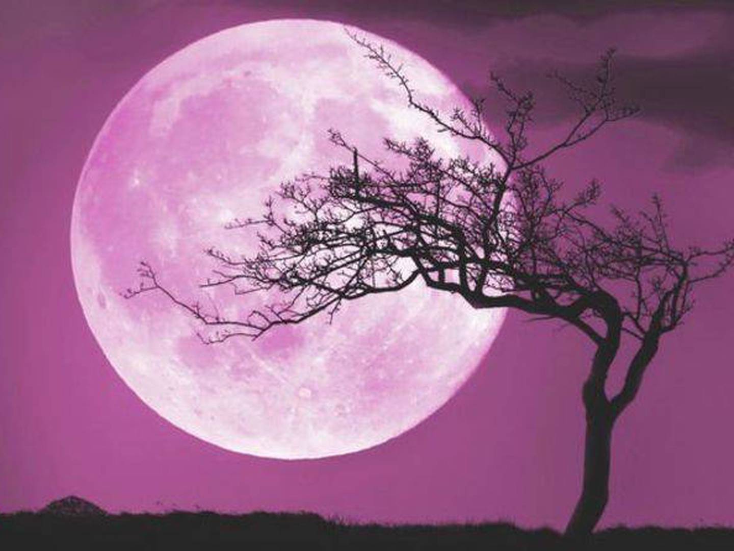 LUNA ROSA