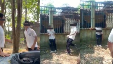 PELEA SECUNDARIA CHIAPAS