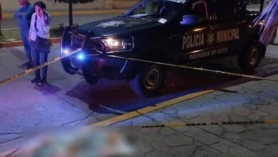 PERRITO MUERE EN PACHUCA