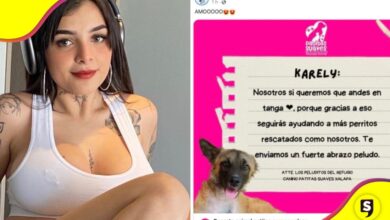 Karely Ruiz refugio animales