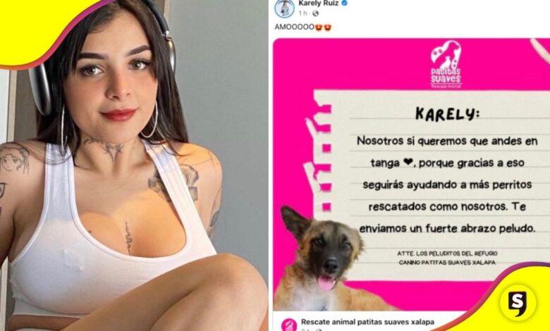 Karely Ruiz refugio animales