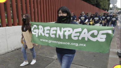 Greenpeace Pachuca