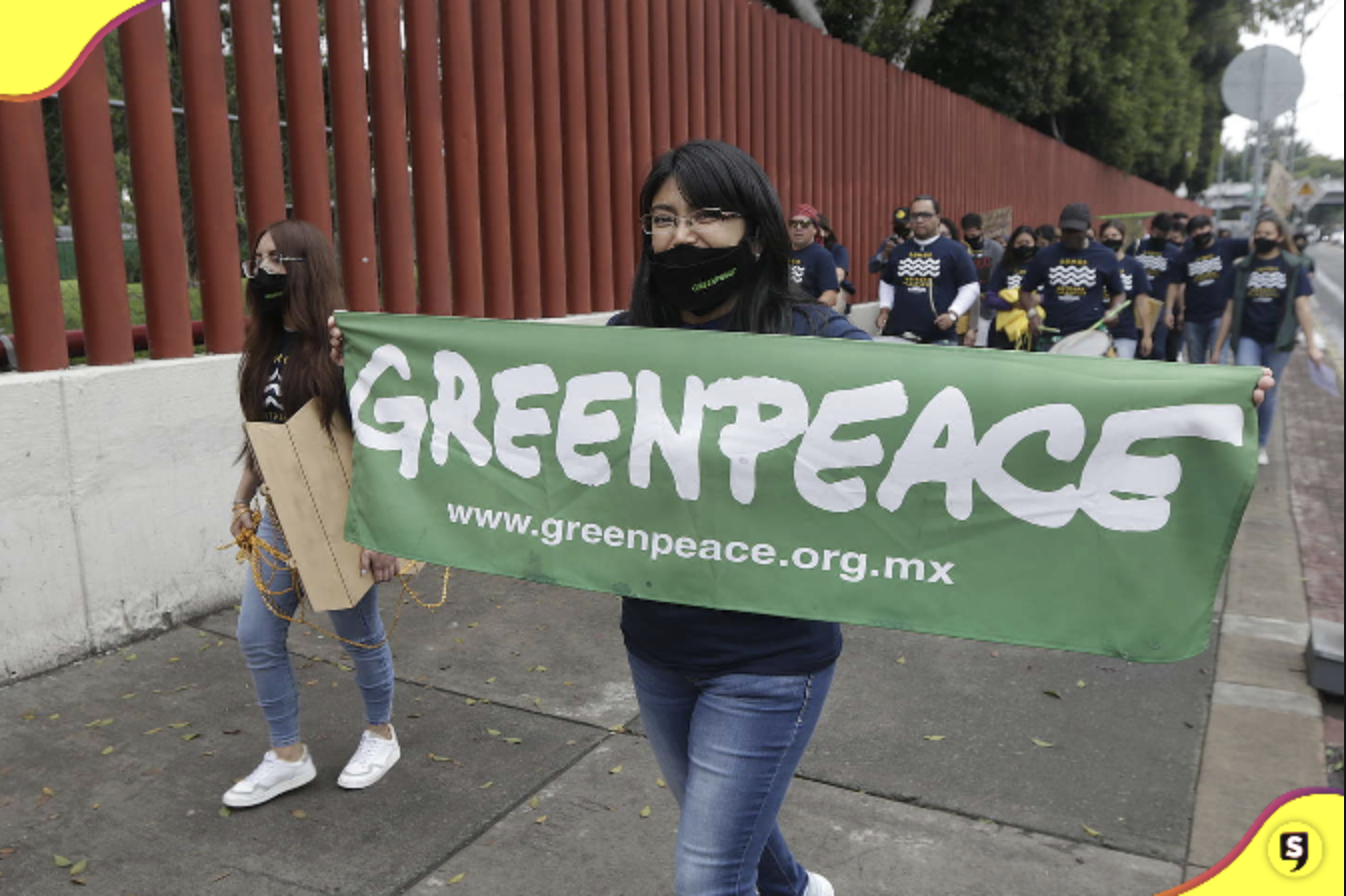 Greenpeace Pachuca