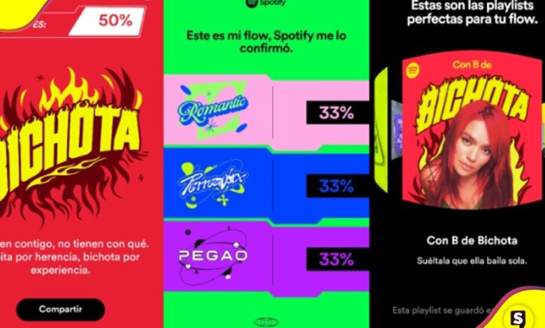 Descubre tu Flow en Spotify
