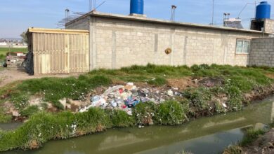 basura Pachuca
