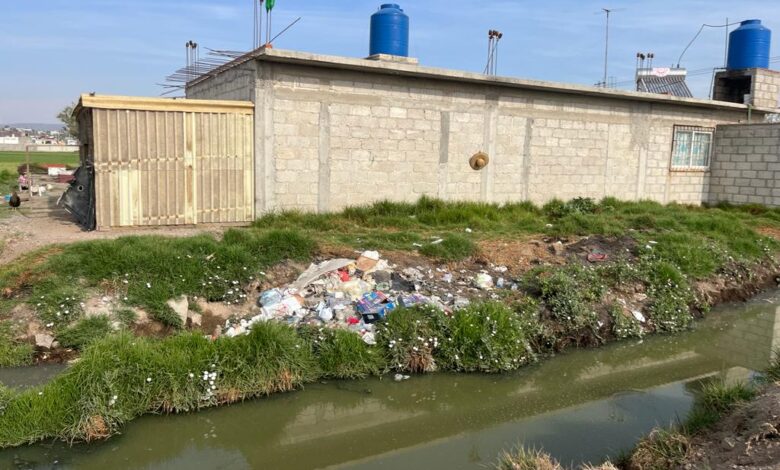 basura Pachuca