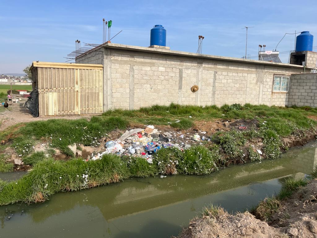 basura Pachuca