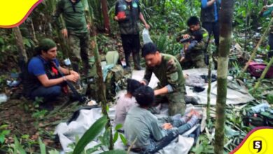 4 niños perdidos selva