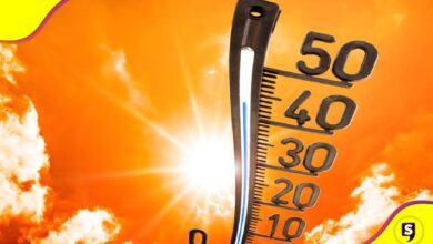 fin ola calor 2023