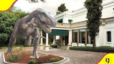 Exposición dinosaurios Los Pinos