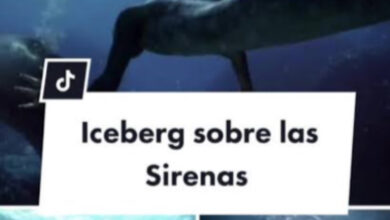 Iceberg en TikTok