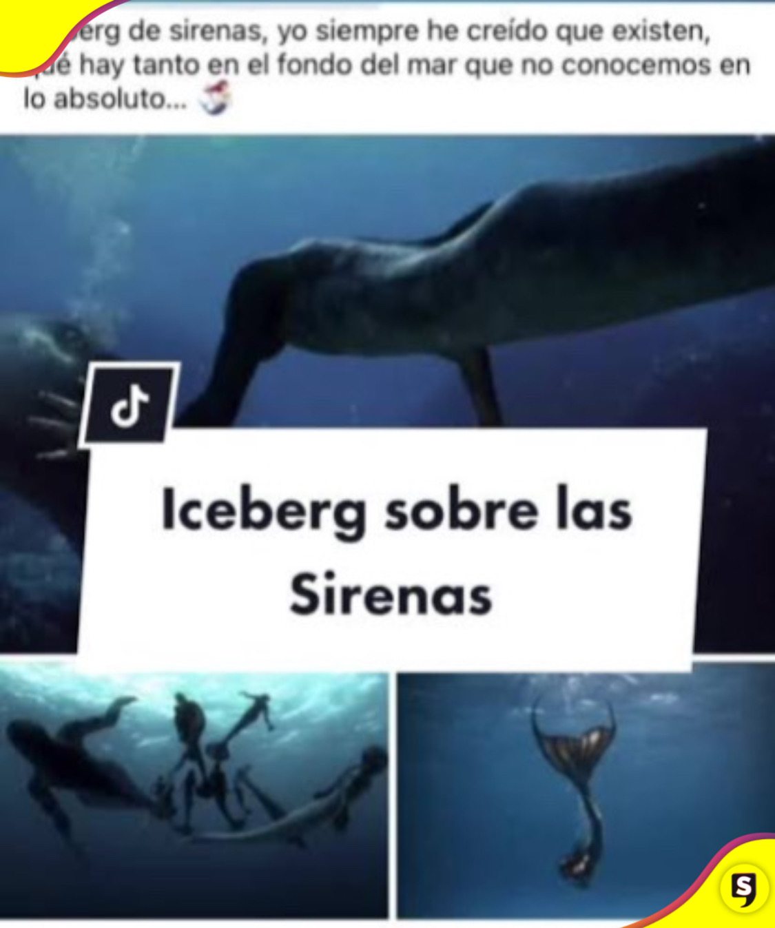 Iceberg en TikTok