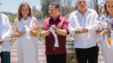 videño "Tierra y Alma" en Tecozautla