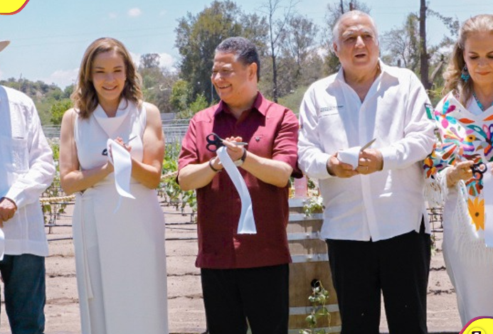 videño "Tierra y Alma" en Tecozautla