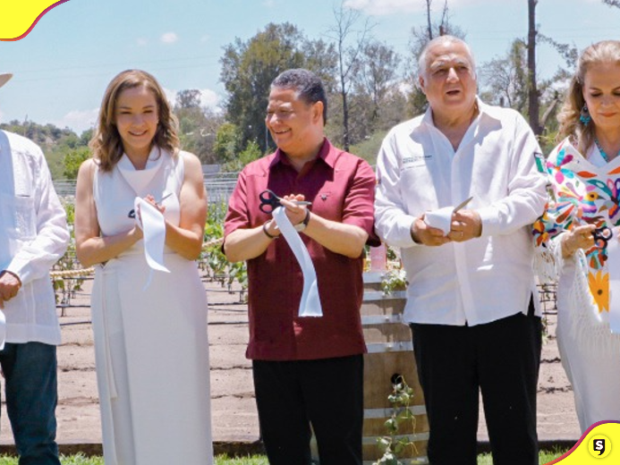 videño "Tierra y Alma" en Tecozautla