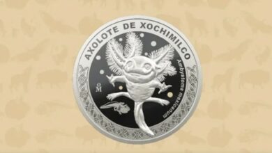 moneda conmemorativa ajolote