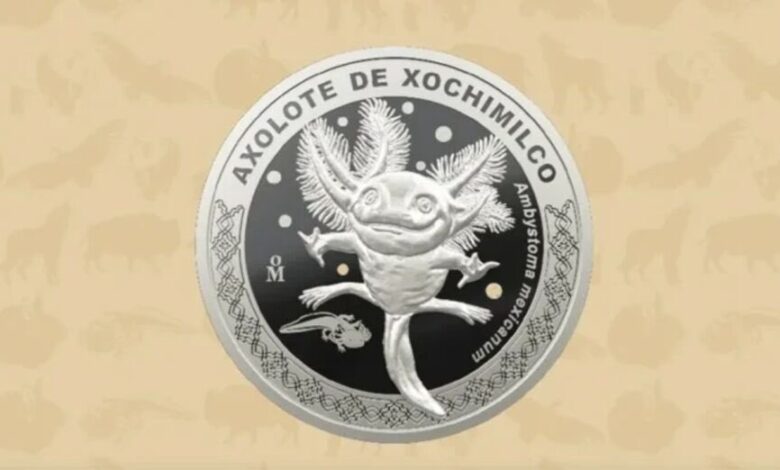 moneda conmemorativa ajolote