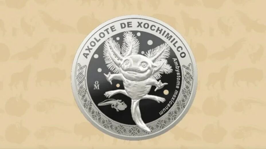 moneda conmemorativa ajolote