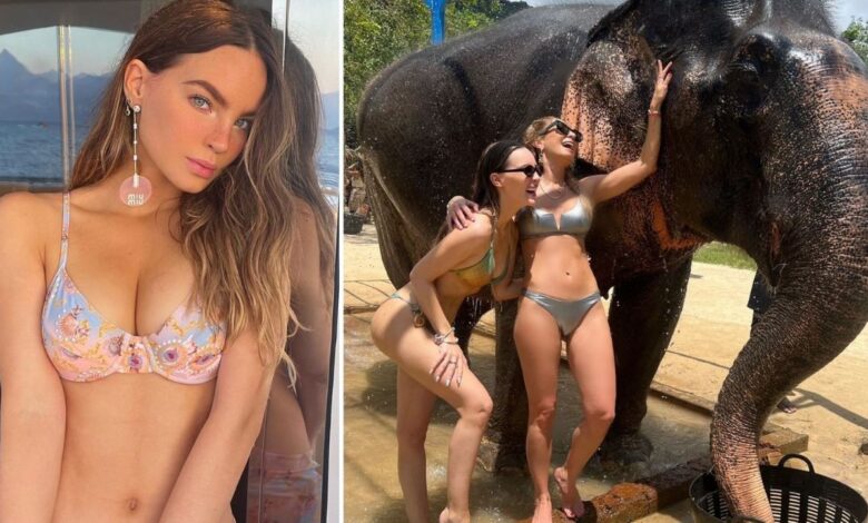 Belinda elefantes Bangkok