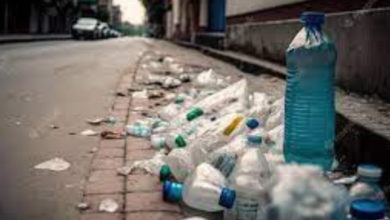 basura