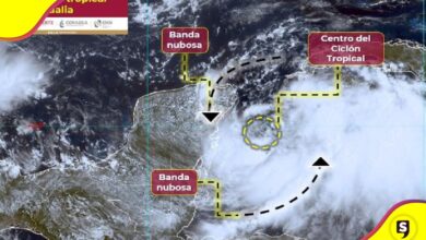estados tormenta tropical Idalia