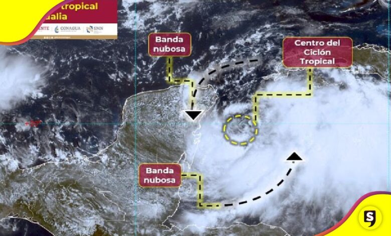 estados tormenta tropical Idalia