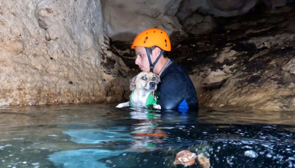 Buzos perrita cenote