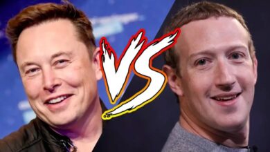 pelea mark zuckerberg elon musk