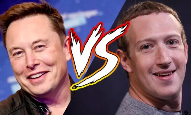 pelea mark zuckerberg elon musk