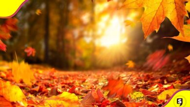 inicia otoño 2023 en México