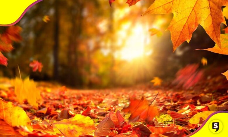 inicia otoño 2023 en México