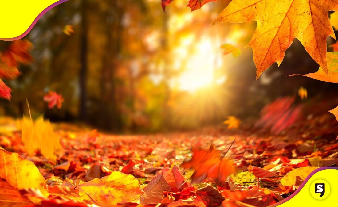 inicia otoño 2023 en México