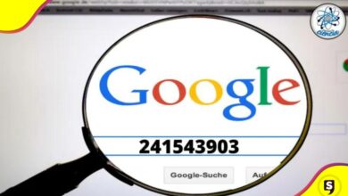 ‘241543903’ en Google