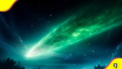 cometa Nishimura