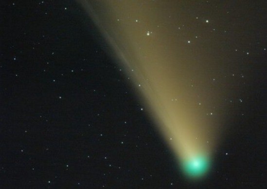 cometa Nishimura