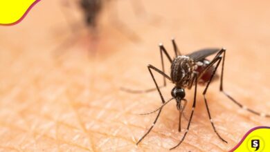 mosquitos pican más a algunas personas