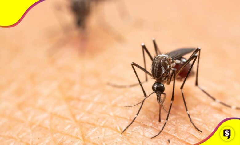 mosquitos pican más a algunas personas
